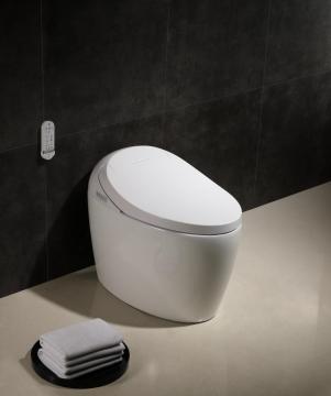 Smart Toilet Price Multi-function Ceramic Tankless