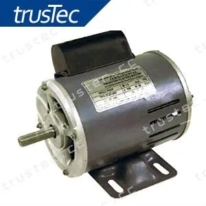 Ac motor