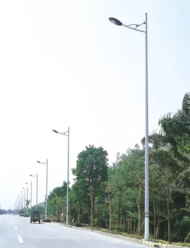 Single Head Road Lamp