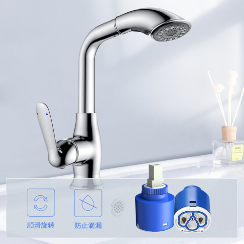 Bathroom Lavatory Pull out Stainless Steel Basin Faucet