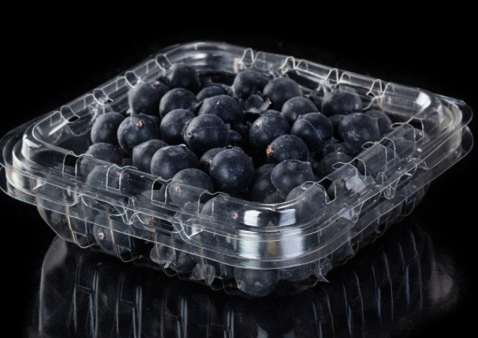 RPET Blueberry Box for Blueberry Packaging