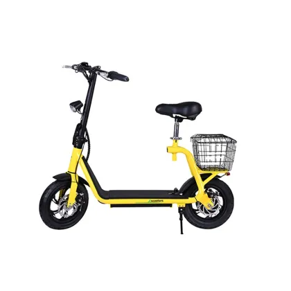 Chihui Scoot XScoot 350W 36V Stand Up Electric Scooter with Seat