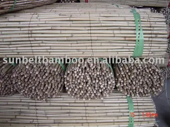 Bamboo fence Sun-024