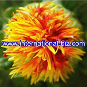 Carthamus yellow