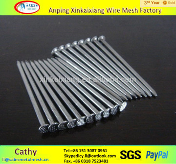 China Xinkaixiang common nail iron nail factory/wire nails manufacture