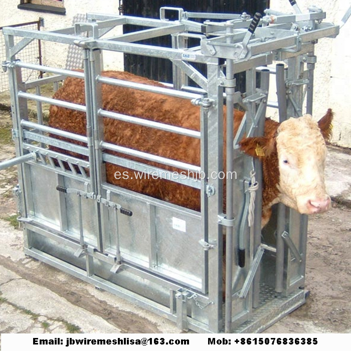 Heavy Duty Galvanized Cattle Crush