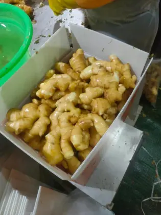 Class One Quality Ginger