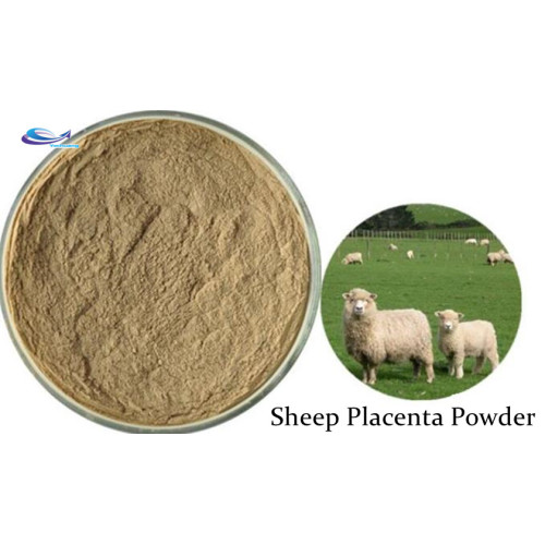 Anti Aging Ingredient Health Sheep Placenta Powder