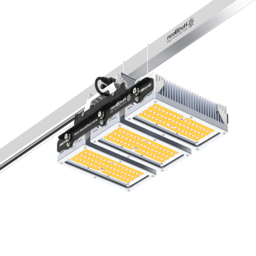 High PPFD LED Grow Lighting: 650W/800W Samsung LED for Greenhouse