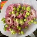 ইউনান পাইকারি তাজা কাটা ফুল গোলাপী Lisianthus
