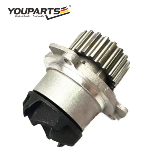 Hot Selling Car Parts Water Pump for Lada Samara (OEM 2108-1307010) in Russian Market