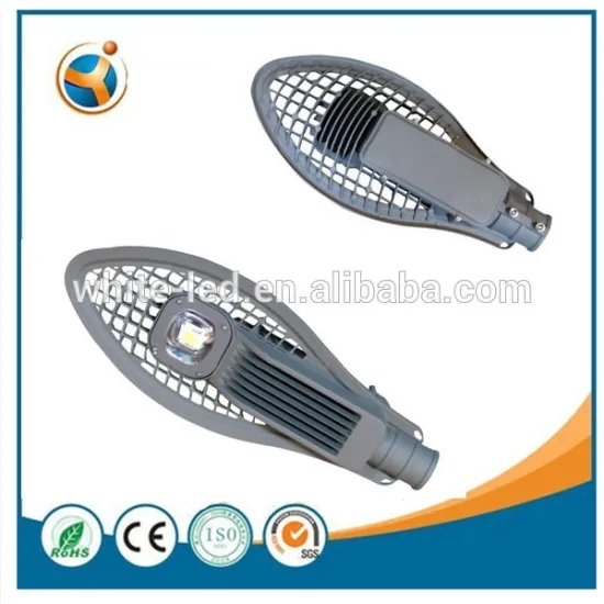 30w cob led street light 100-265 or DC12-24V