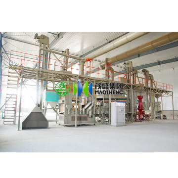 Chickpea Peanut Sorghum Maize Wheat Seed Cleaning Sorting Coating Packing Equipment for Sale