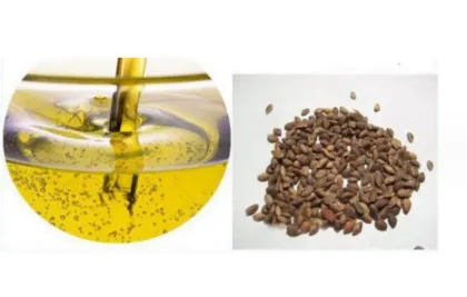 Yuanbao Maple Seed Extract