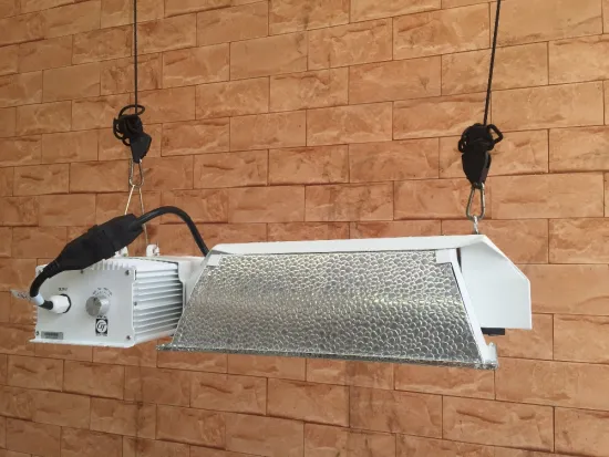 CE/ETL double end light/Flat style/indoor garden equiment