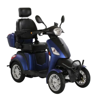 Elderly Mobility: Disabled E-scooters with EEC Compliance