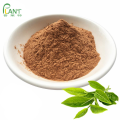 Green tea extract capsules raw catechin powder