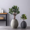 /msite/products/detail/productid/66269458/id/1612603.html