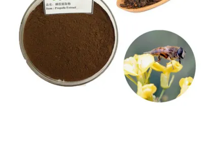 Dry Bee Propolis Extract 70% Propolis Flavone