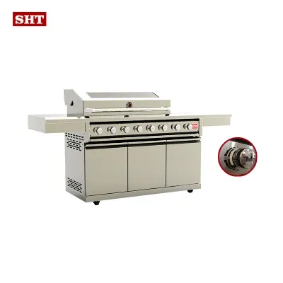 Home Garden Stainless Steel Propane Gas BBQ Grill with Glass