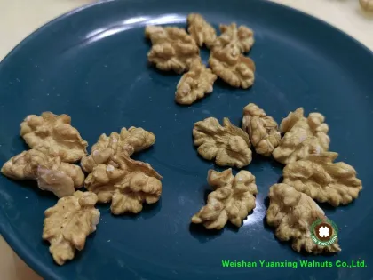 Kids` favourite snack Chinese Walnut Kernels