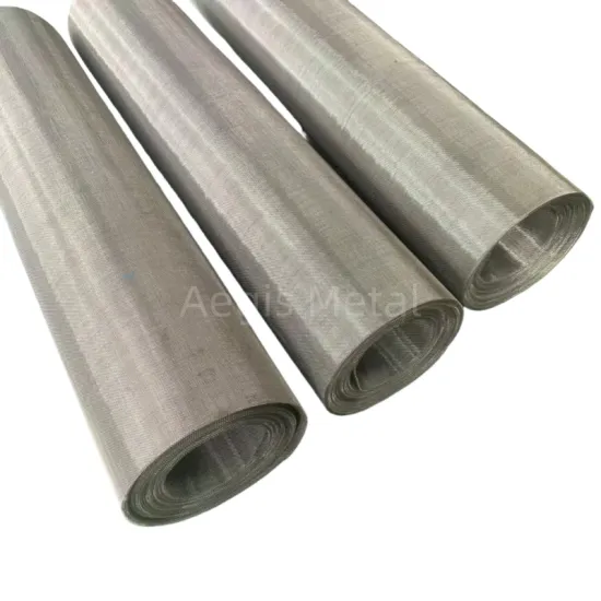 Heat Resistant Fecral Wire Mesh: 1Cr13Al4, 1Cr21Al4, 0Cr21Al6, 0Cr23Al5, 0Cr25Al5