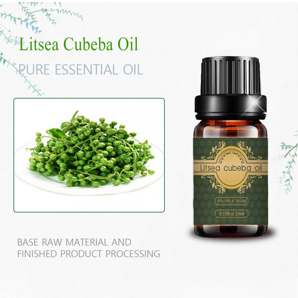 Hot selling fresh organic litsea cubeba essential oil