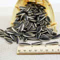 HOT SALE!!! The Top Quality Sunflower Seeds