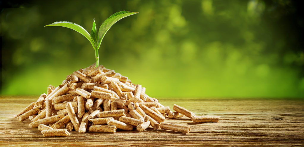 cassava bio pellet fuel cassava bio pellet fuel