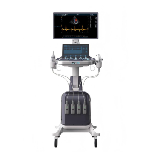 Renkli Doppler Tanısal Ultrason Sistemi(Revo T2)