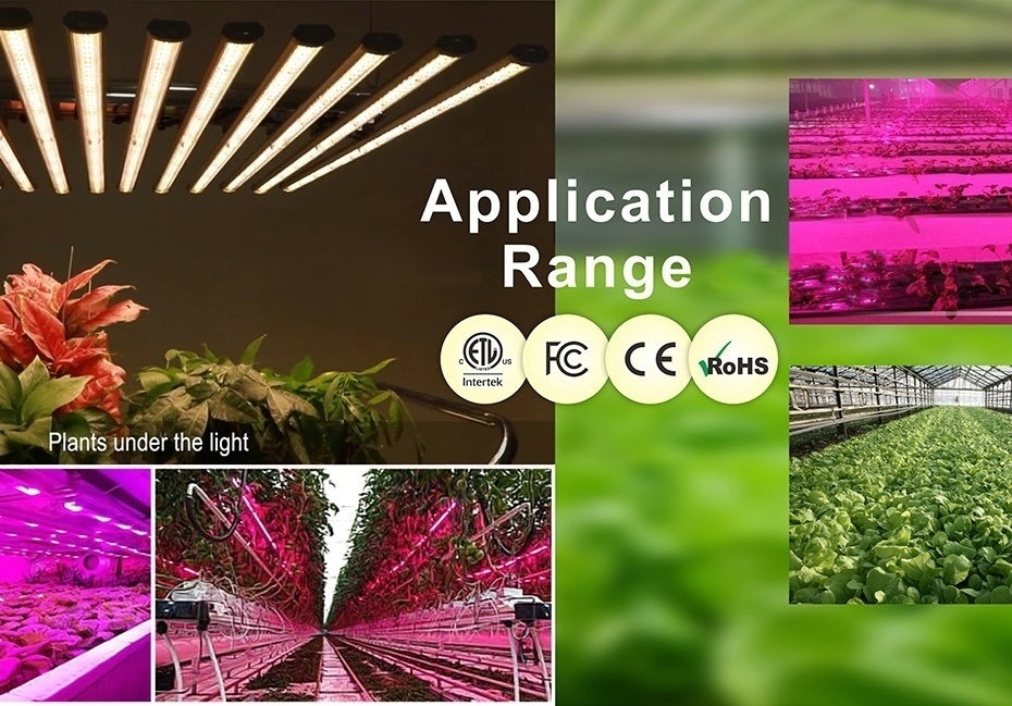 Led Grow Light Application Jpg