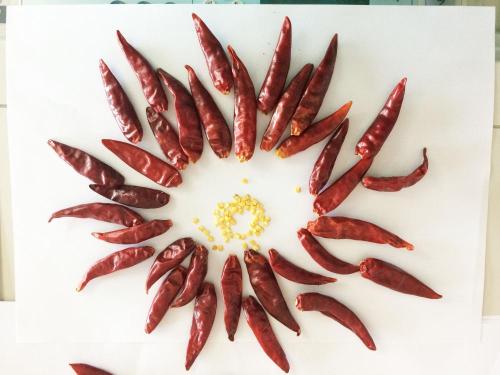 Eerste kwaliteit droge chili peper voor groothandel