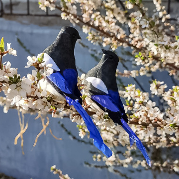 Eames Kuş Dekorasyonu