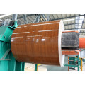 Prepainted galvanized steel sheet in coil