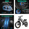 DK401 Electric Fat Bike