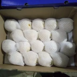 Fresh Pear Ya Pear Type with Wholesales Price