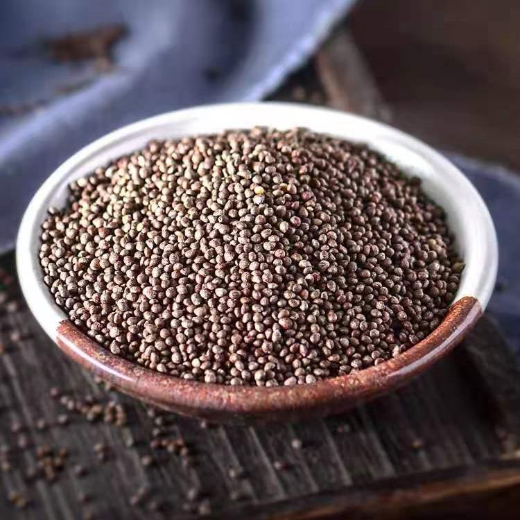 Perilla Seed Extract