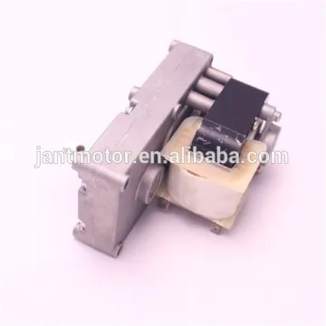 BBQ grill motor