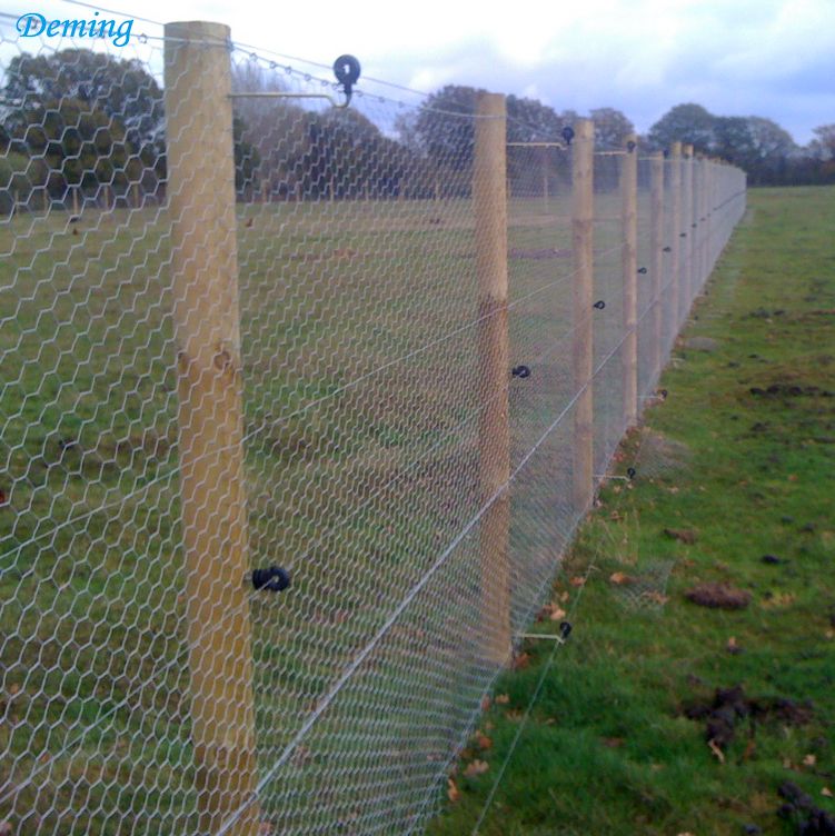 Mesh Black Plastic Coated Hexagonal Galvanised Wire Netting