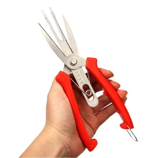 Stainless Steel Double-Head Flower Scissors and Fruit Vegetable Picking Tools for Garden Use