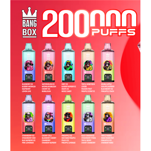 BangBox 200000 Puff Disposable Vape Pen Bulk Buy