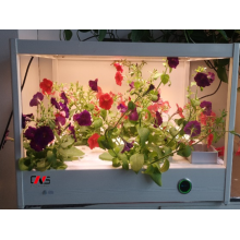 Настольный семейный шкаф для выращивания овощей YD08GBC-B01-AK