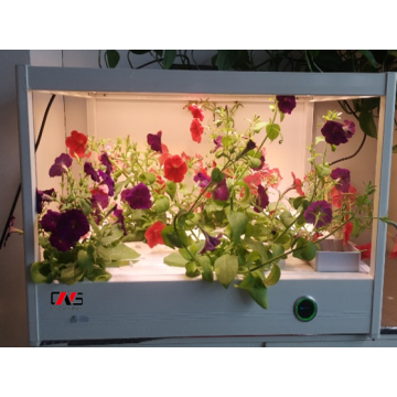 خزانة زراعة الخضروات العائلية لسطح المكتب YD08GBC-B01-AK