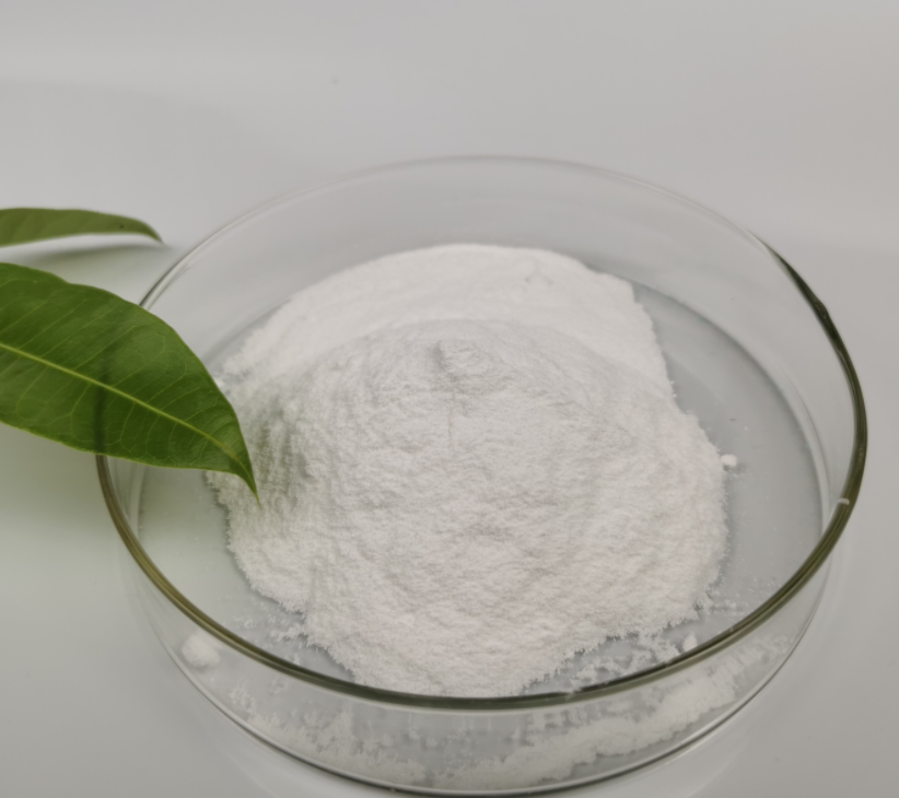Stevia Leaf Powder 