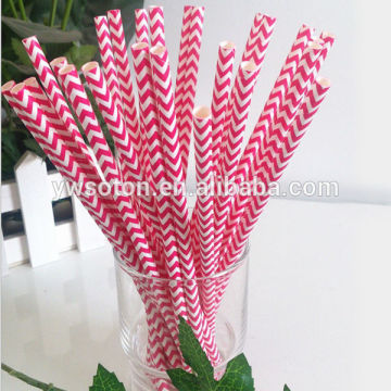 Food Grade Paper Straws Party Supplies