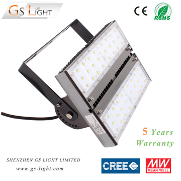 80W LED Canopy Light