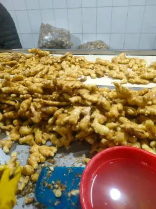 wholesale organic fresh/driedginger