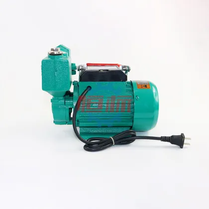 ZDB Series 1/2 HP Small Electric Peripheral Self-Priming Pump