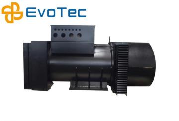 Brushless IP44 Alternator Lifespan