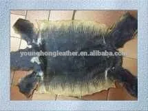 RAW LIZARD SKIN LEATHER